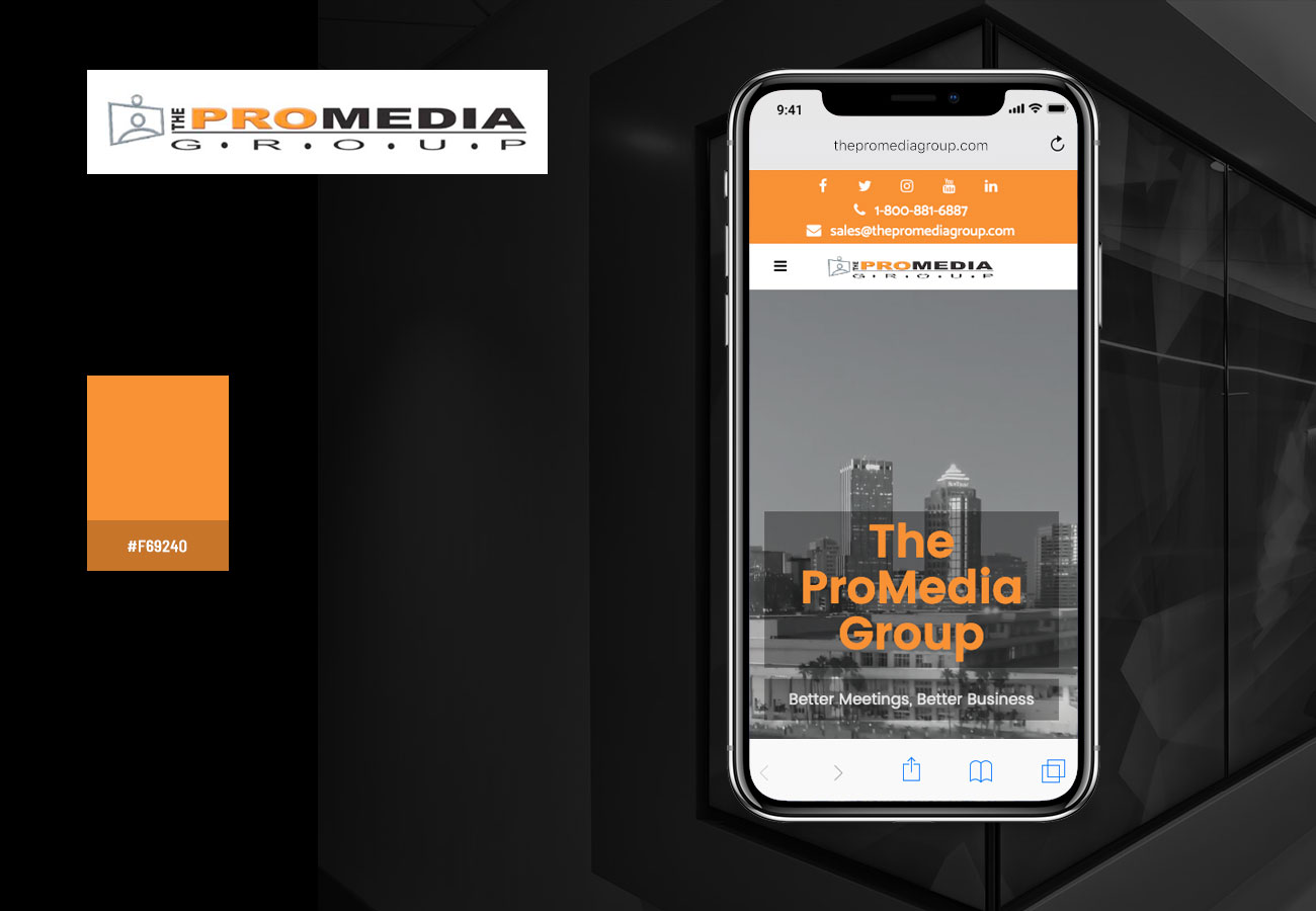 The Pro Media Group